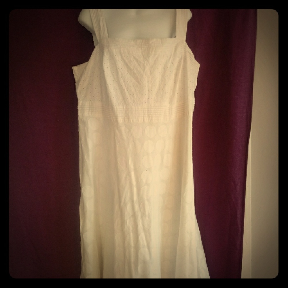 Studio 1 Women's dresses for Ms.Jane so Sweet